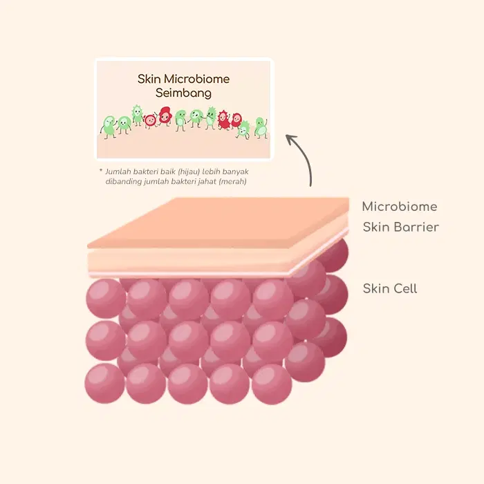Skin Microbiome Illustration